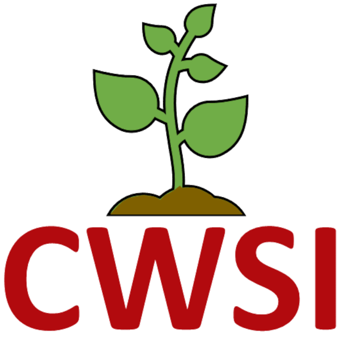 CWSI